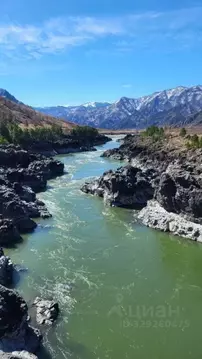 Участок в Алтай, Чемальский район, с. Куюс Центральная ул. (10.0 сот.)