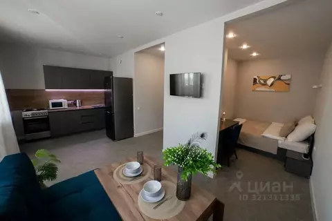 Студия Самарская область, Самара проезд 4-й, 67 (36.0 м)