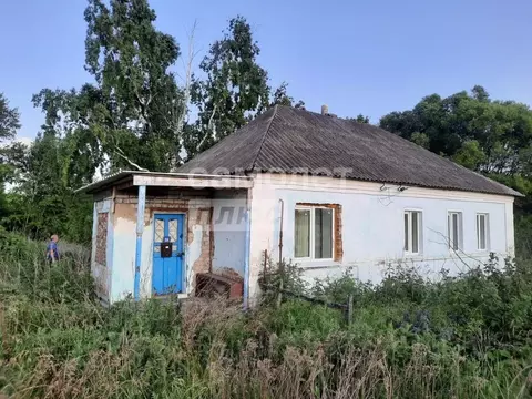 Дом в Липецкая область, Усманский муниципальный округ, с. Березняговка ...