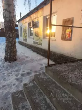 Помещение свободного назначения в Алтайский край, Зональный район, с. ...