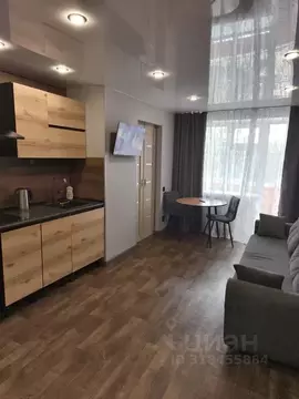 1-к кв. Новосибирская область, Новосибирск ул. Челюскинцев, 4 (30.0 м)