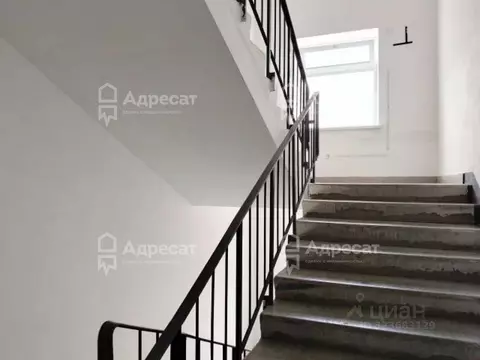 2-к кв. Волгоградская область, Волгоград ул. Грибанова, 21 (46.4 м)