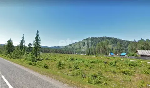 Участок в Алтай, Турочакский район, с. Кебезень Сосновая ул., 17 ...
