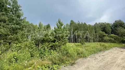 Участок в Тюменская область, Нижнетавдинский район, с. Тюнево  (10.0 ...