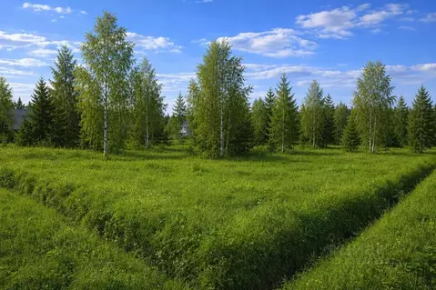 Участок в Московская область, Солнечногорск городской округ, д. Покров ...