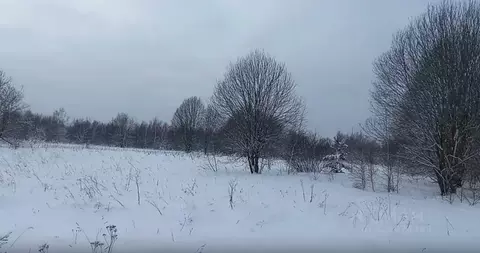 Участок в Московская область, Дмитровский муниципальный округ, д. ...