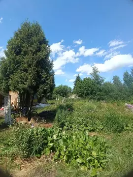 Участок в Ленинградская область, Всеволожский район, Морозовское ...