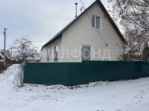 Дом в Новосибирская область, Новосибирск  (53 м)