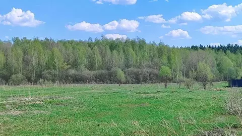 Участок в Московская область, Раменский муниципальный округ, д. ...