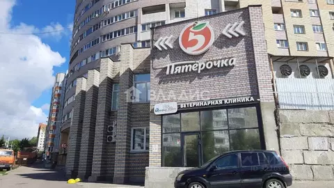 Торговая площадь в Владимирская область, Владимир ул. Пугачева, 62 ...