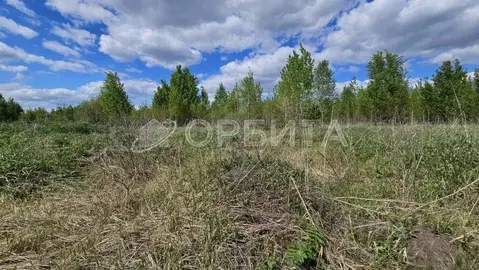 Участок в Тюменская область, Нижнетавдинский район, Царицыно СНТ  (7.0 ...
