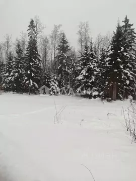 Участок в Ленинградская область, Волховский район, Иссадское с/пос, ...