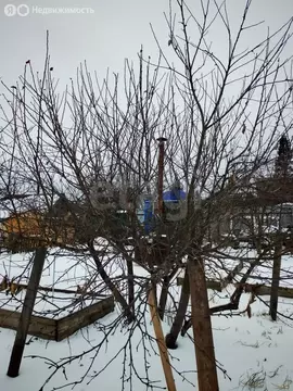 Дом в Тюмень, территория СОСН Аккумуляторщик-2, Вишнёвая улица (45 м)