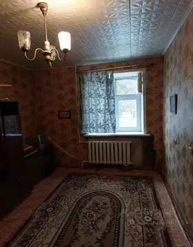 1-к кв. Московская область, Дрезна Орехово-Зуевский городской округ, ...