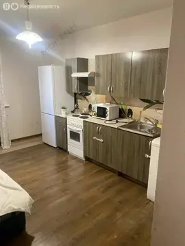 1-комнатная квартира: Краснодар, проезд Репина, 1 (42 м)