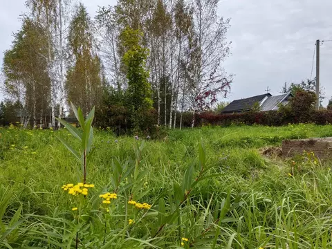 Продается участок в д. Костино