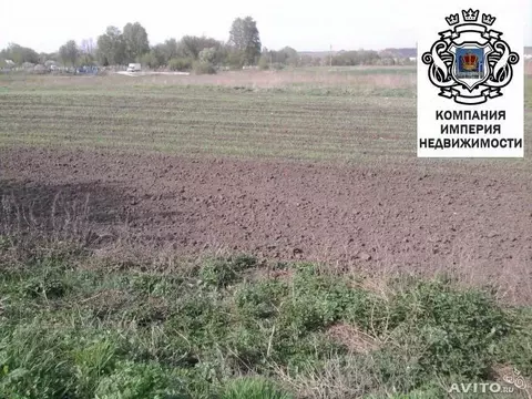Участок в Белгородская область, Шебекинский муниципальный округ, с. ...