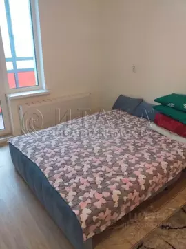 Студия Санкт-Петербург пос. Шушары, просп. Старорусский, 13к1 (25.0 м)