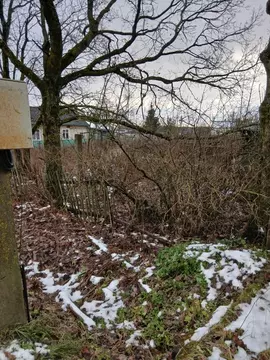 Дом в Новгородская область, Чудово ул. Иванова, 1 (31 м)