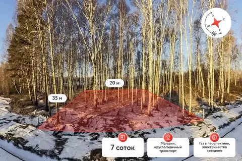 Участок в Тюменская область, Нижнетавдинский муниципальный округ, ...