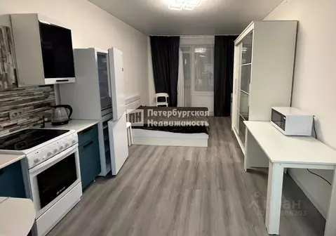 Студия Санкт-Петербург ул. Струве, 8к3 (25.0 м)