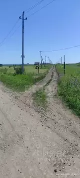 Участок в Башкортостан, Чишминский район, Алкинский сельсовет, с. ...