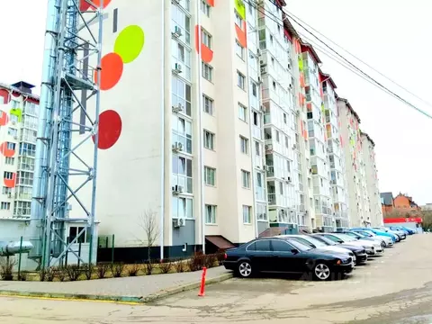 1-к кв. Курская область, Курск Рябиновая ул., 26А (44.1 м)