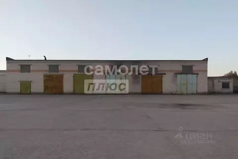 Помещение свободного назначения в Брянская область, Брянский район, ...