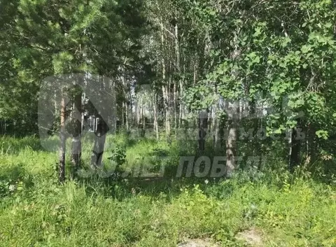 Участок в Тюменская область, Нижнетавдинский район, Сундукуль СНТ  ...