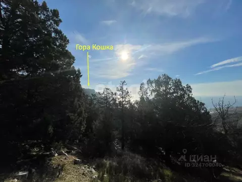 Участок в Крым, Ялта муниципальный округ, Симеиз пгт ул. Голубая (6.0 ...