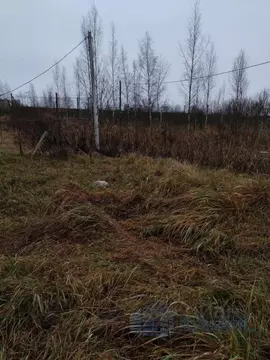 Участок в Ленинградская область, Гатчинский муниципальный округ, пос. ...