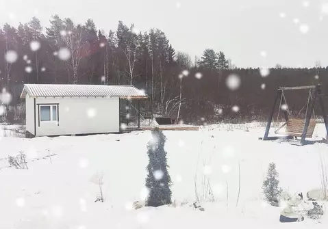 Дом в Карелия, Питкярантский муниципальный округ, д. Леппясилта 1Б (50 ...