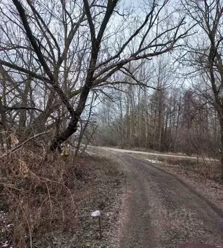 Участок в Воронежская область, Новоусманский район, Хреновское с/пос, ...