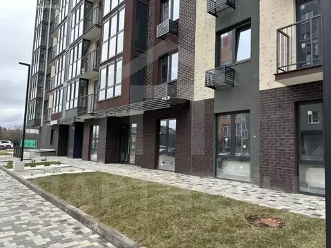 Помещение свободного назначения (81.8 м)