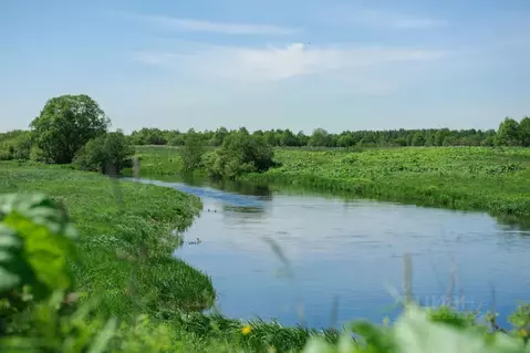 Участок в Ленинградская область, Тосненский район, Федоровское ...
