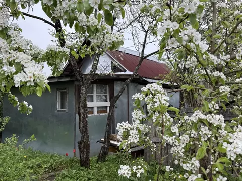 Дом в Ленинградская область, Гатчинский муниципальный округ, Скворицы ...