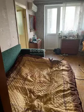 1-к кв. Крым, Феодосия ул. Вити Коробкова, 3 (44.0 м)