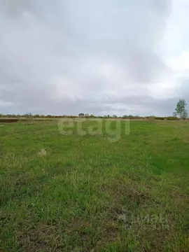 Участок в Амурская область, с. Ивановка 2 (478.0 сот.)