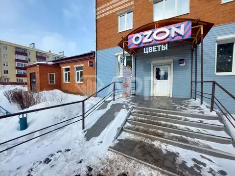 Помещение свободного назначения в Татарстан, Агрыз пер. Максима ...