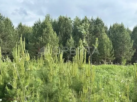 Участок в Тюменская область, Нижнетавдинский муниципальный округ, д. ...