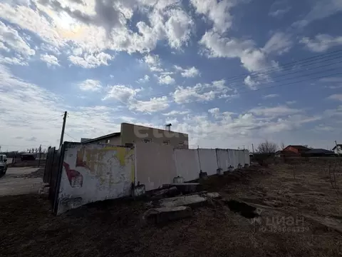 Участок в Воронежская область, Рамонский район, Березовское с/пос, д. ...