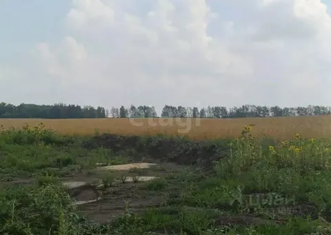 Участок в Воронежская область, Рамонский район, Горожанское с/пос, с. ...