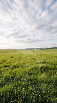 Участок в Алтай, с. Онгудай ул. Радужная (10.96 сот.)