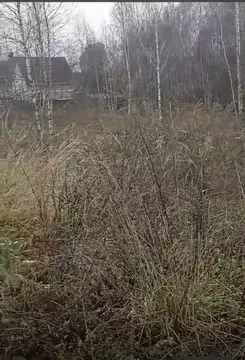 Участок в Московская область, Наро-Фоминский городской округ, д. ...