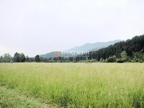 Участок в Белгородская область, Белгородский район, Головинское с/пос, ...