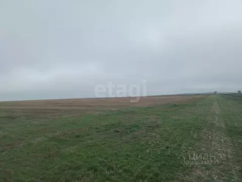 Участок в Крым, Ленинский район, Семисотское с/пос, с. Каменское ул. ...