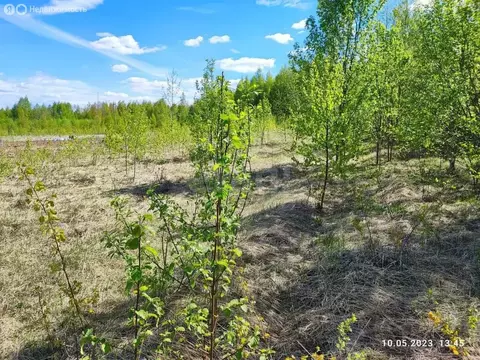 Участок в Красносельский район, Сидоровское сельское поселение (1228 ...