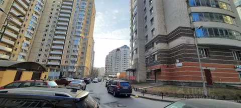 Помещение свободного назначения в Санкт-Петербург просп. Луначарского, ...