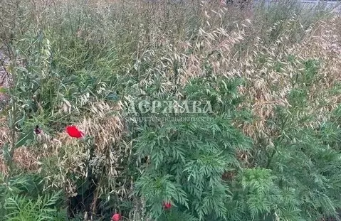 Участок в Белгородская область, Старый Оскол Марышкин Лог мкр,  (15.0 ...