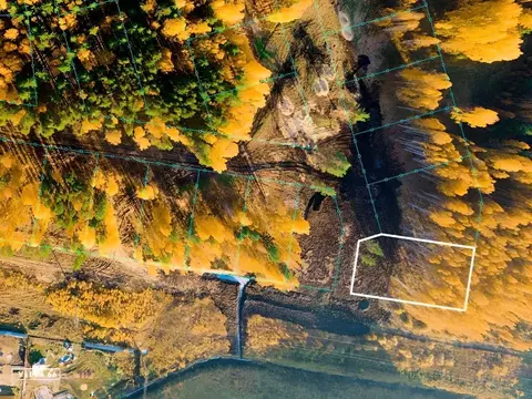 Участок в Свердловская область, Сысертский муниципальный округ, пос. ...